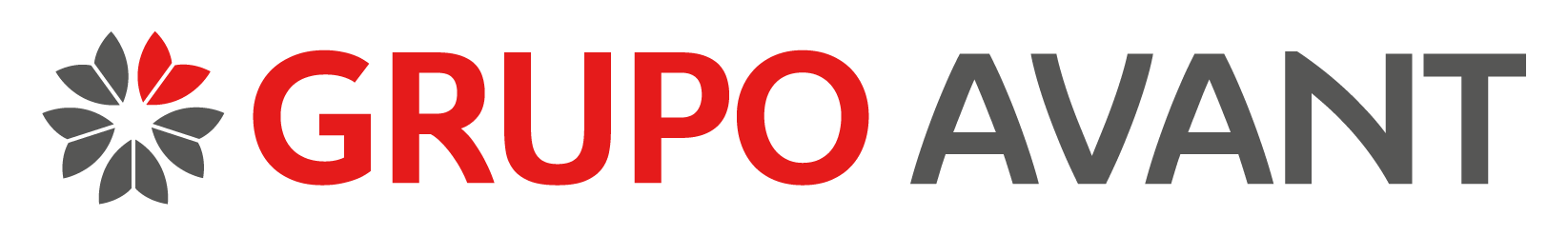 Grupo Avant